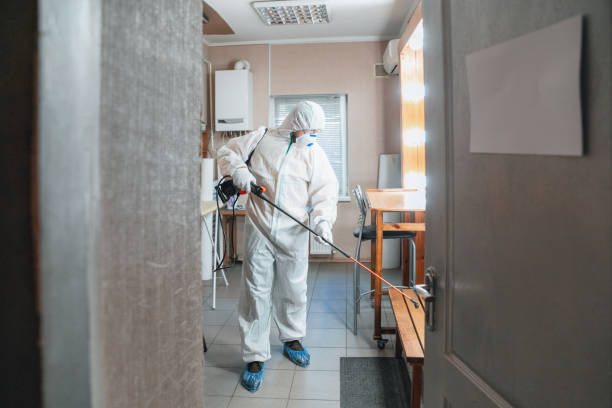 Best Post-Construction Mold Inspection  in Spindale, NC