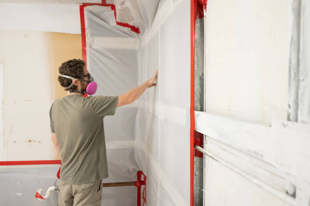 Asbestos and Lead Testing During Mold Inspection in Spindale, NC