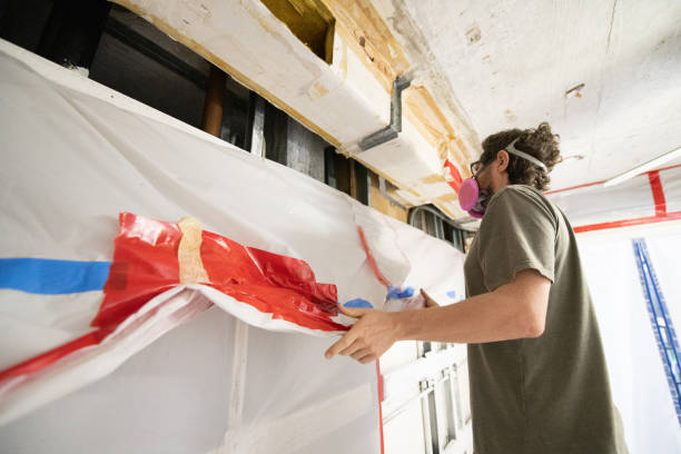Best Black Mold Removal  in Spindale, NC