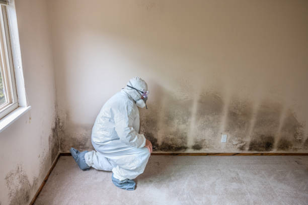 Spindale, NC Mold Removal Company
