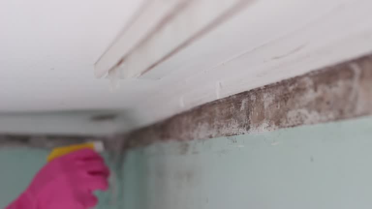 Best Air Quality Testing for Mold Spores  in Spindale, NC